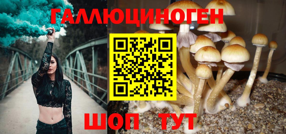 Псилоцибиновые грибы MAGIC MUSHROOMS Карпинск